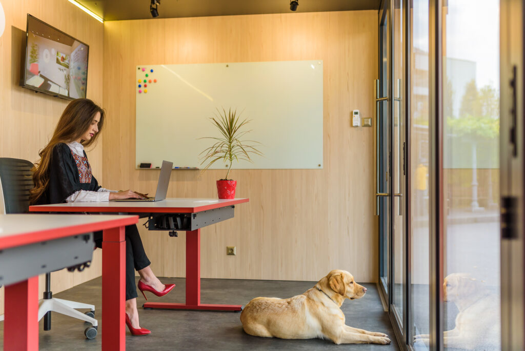 Woman working with dog in Nooka hybrid office